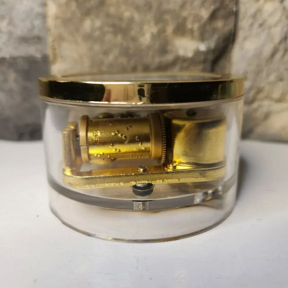 Vtg Georgian Style Womans Portrait Sankyo Music Box Goldtone Edges Japan WORKS
